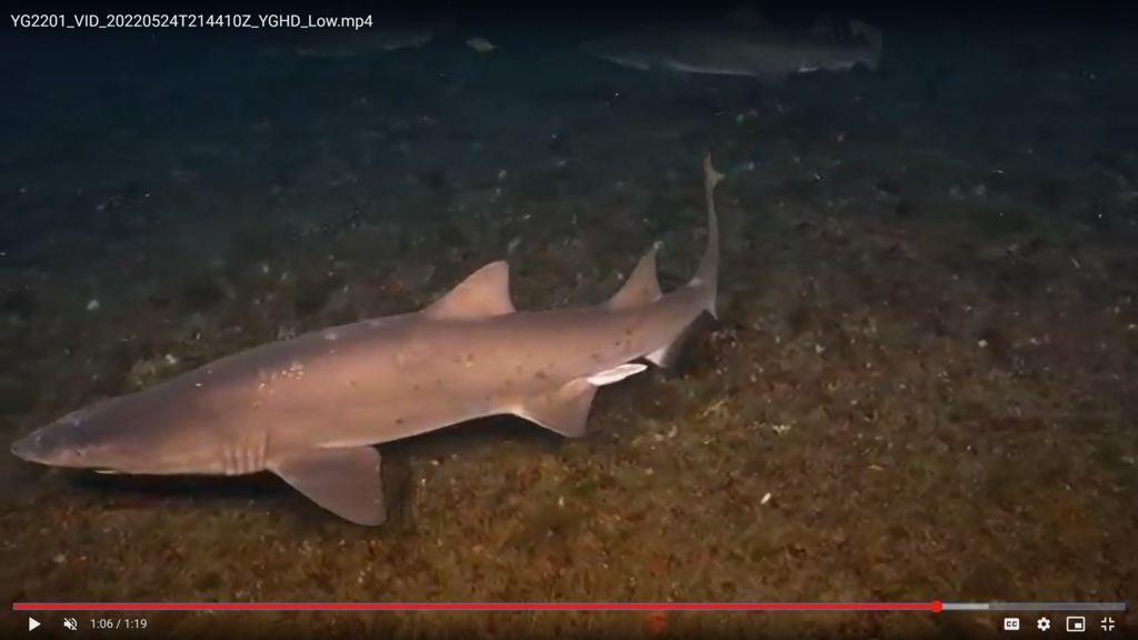 c9fd74a2-3308-4ee7-a072-37e97db87cbc