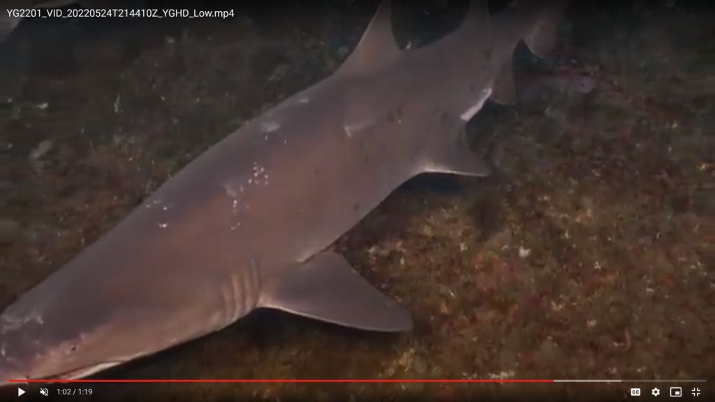 c9fd74a2-3308-4ee7-a072-37e97db87cbc