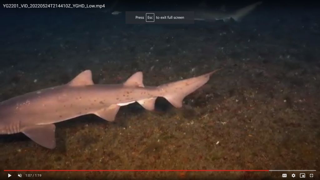 c9fd74a2-3308-4ee7-a072-37e97db87cbc