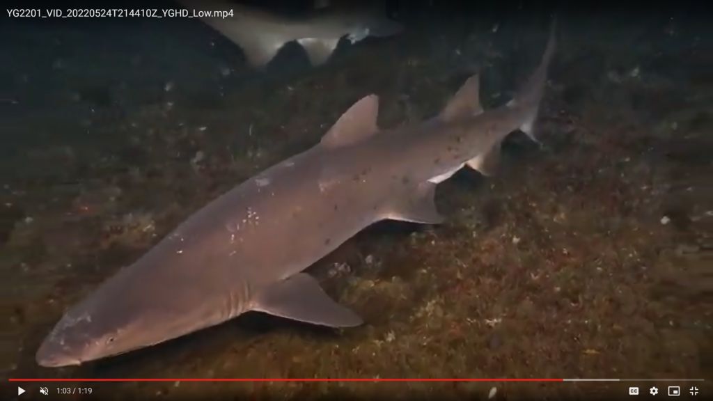 c9fd74a2-3308-4ee7-a072-37e97db87cbc