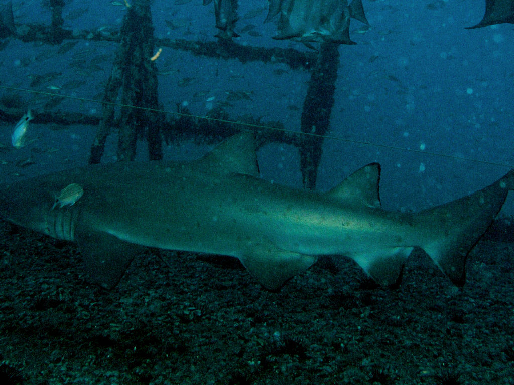 f385efee-0c21-41da-a640-6457f12f189a