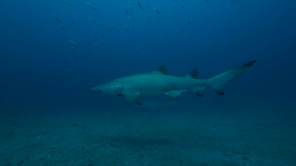 941fcfe3-3007-4636-9564-83fba54d88c7