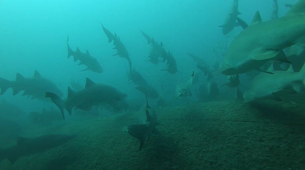 9ff44872-481b-459c-819b-ee70cfc85c5f