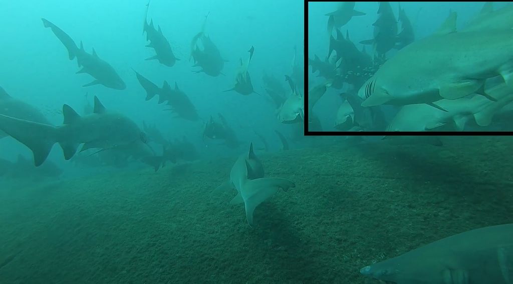 9ff44872-481b-459c-819b-ee70cfc85c5f