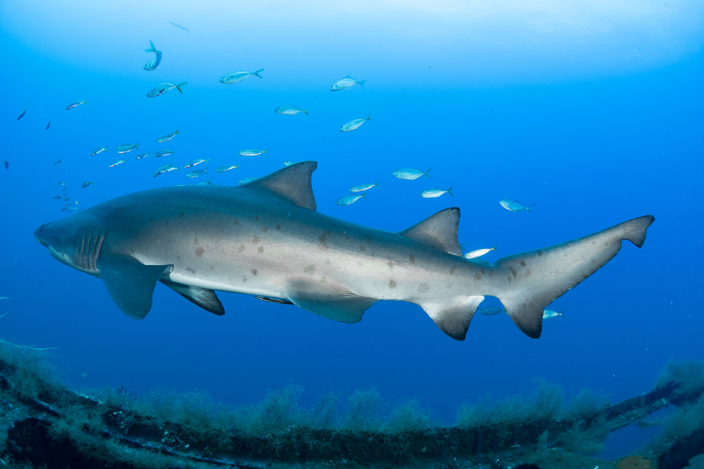 260ab69d-1380-4c6b-9d8a-3de9c824ee7b