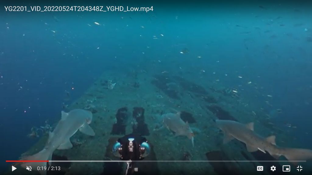 d54f619c-bd5a-4c99-9f0b-7a1ee2569ee0