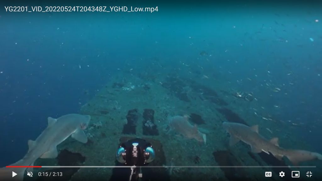 d54f619c-bd5a-4c99-9f0b-7a1ee2569ee0