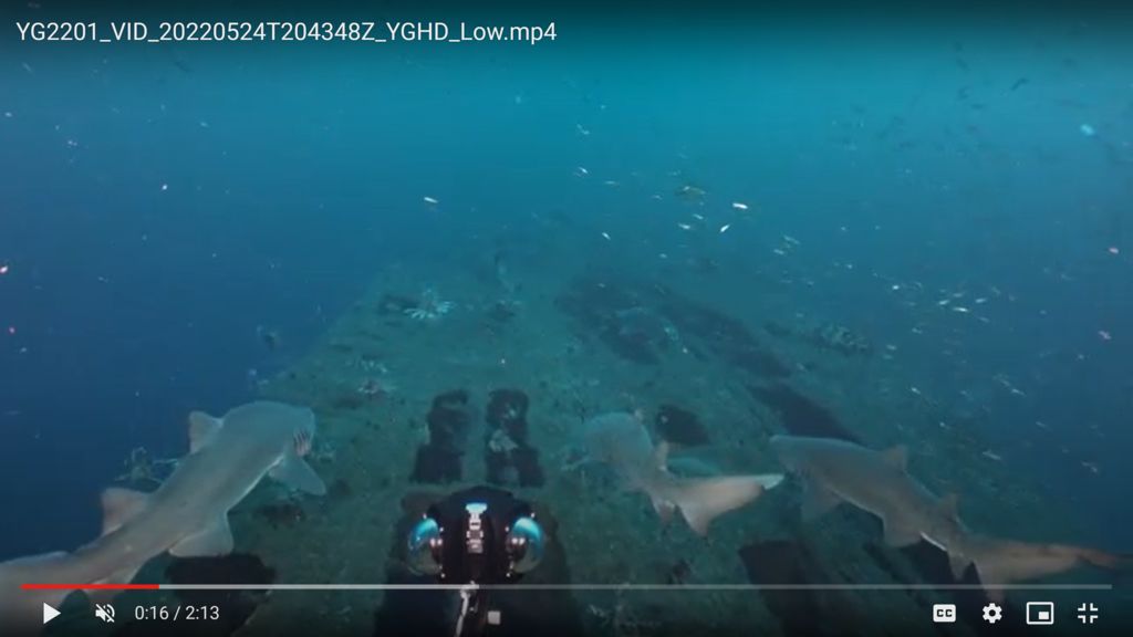 d54f619c-bd5a-4c99-9f0b-7a1ee2569ee0