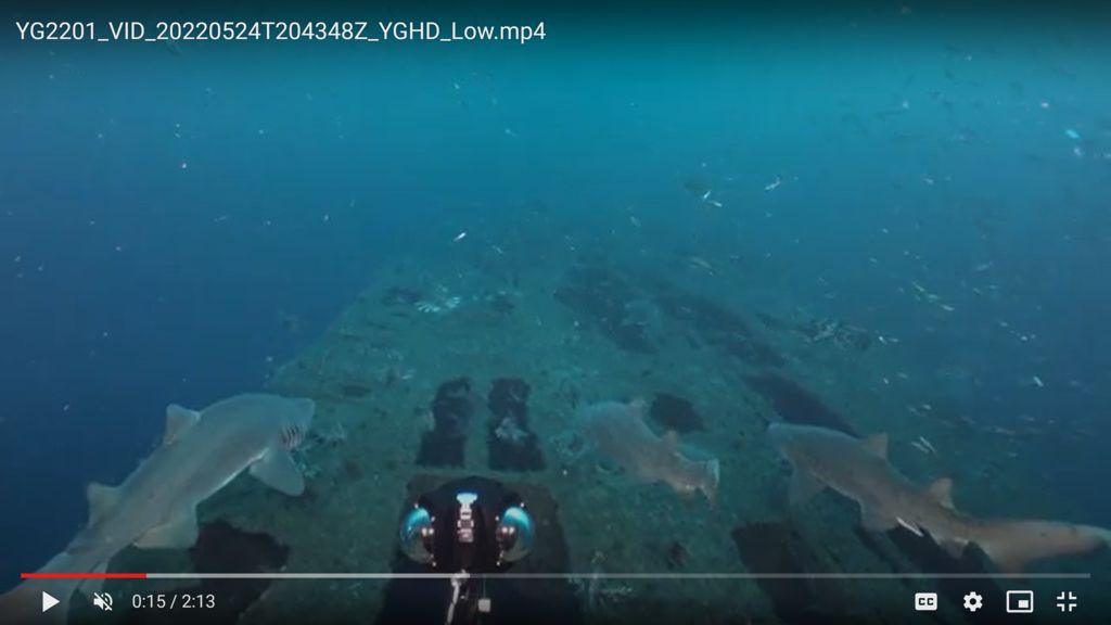 d54f619c-bd5a-4c99-9f0b-7a1ee2569ee0