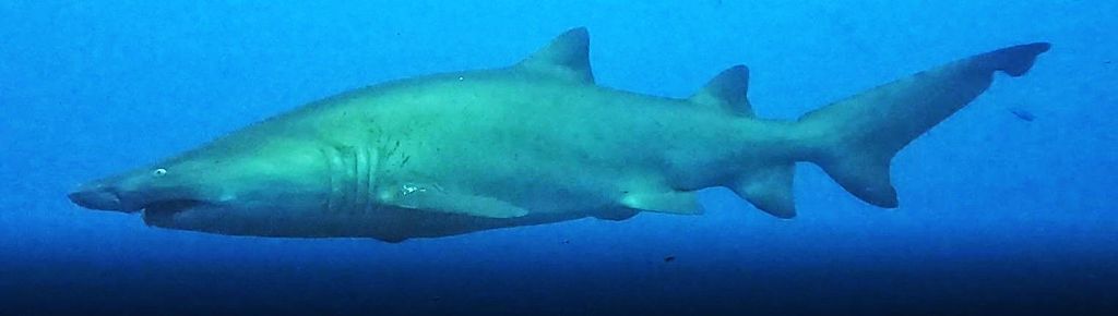 0dc565b5-b134-403b-a559-5a78b4f5b14c