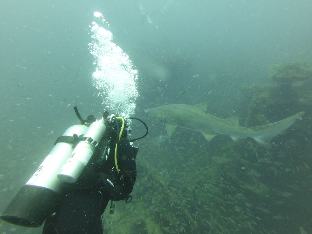 12cd0f57-2543-442c-ae58-a0b4f9e1ddfe