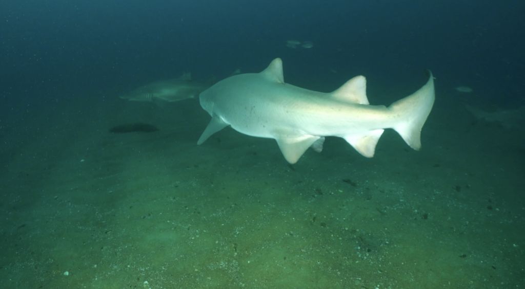 7dd1d98d-f844-49c7-a94b-2625974f8597