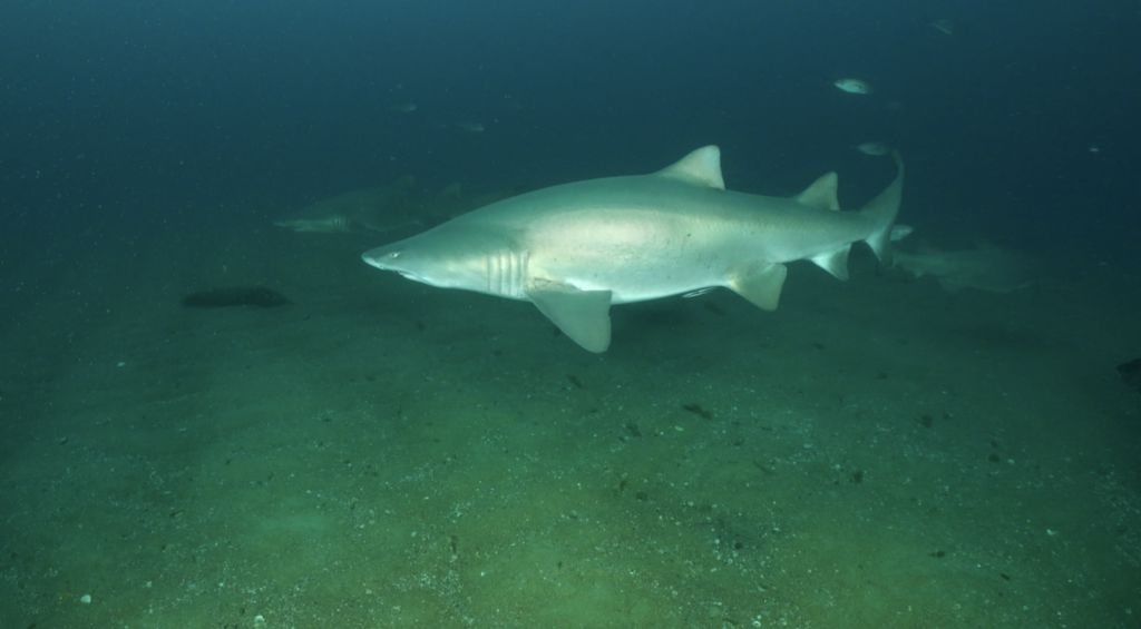 7dd1d98d-f844-49c7-a94b-2625974f8597