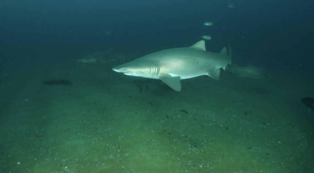 7dd1d98d-f844-49c7-a94b-2625974f8597