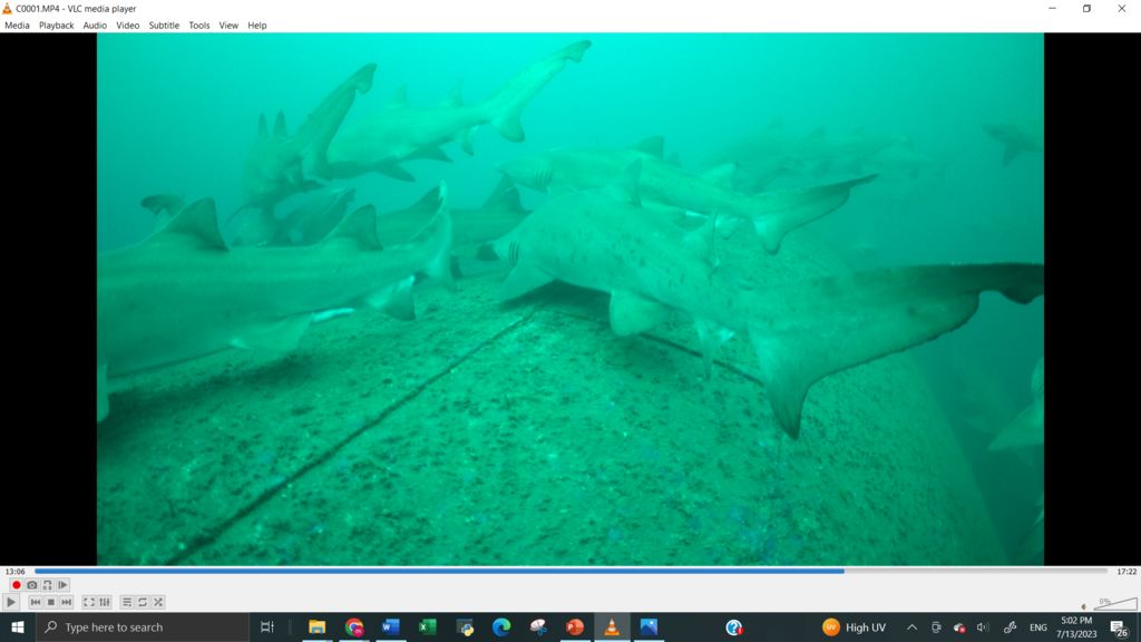 49e6fe73-16c1-48d7-a350-7e2e66b82647