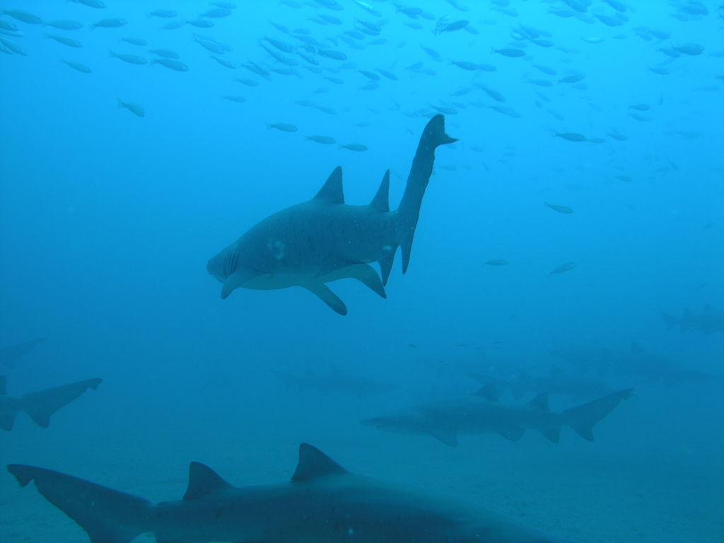 b018e3e5-de90-42f2-8af9-d0aed64970d5