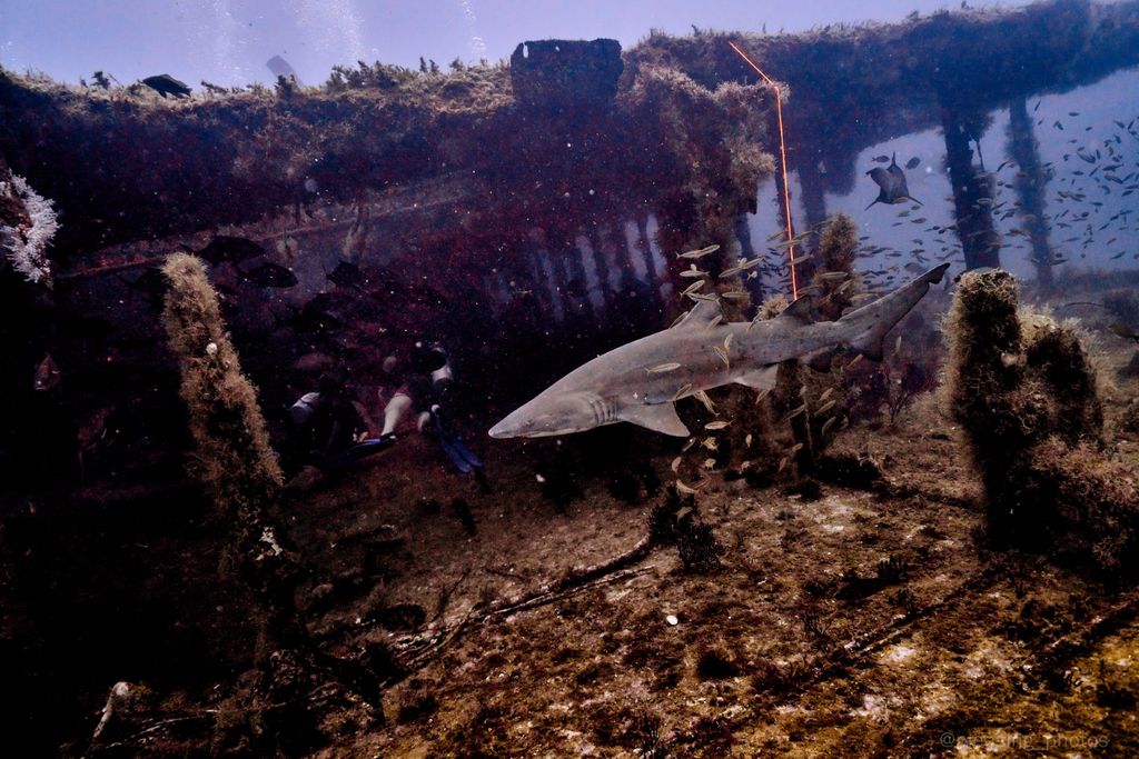 5c109401-c07c-4136-a450-e64ae3bff743