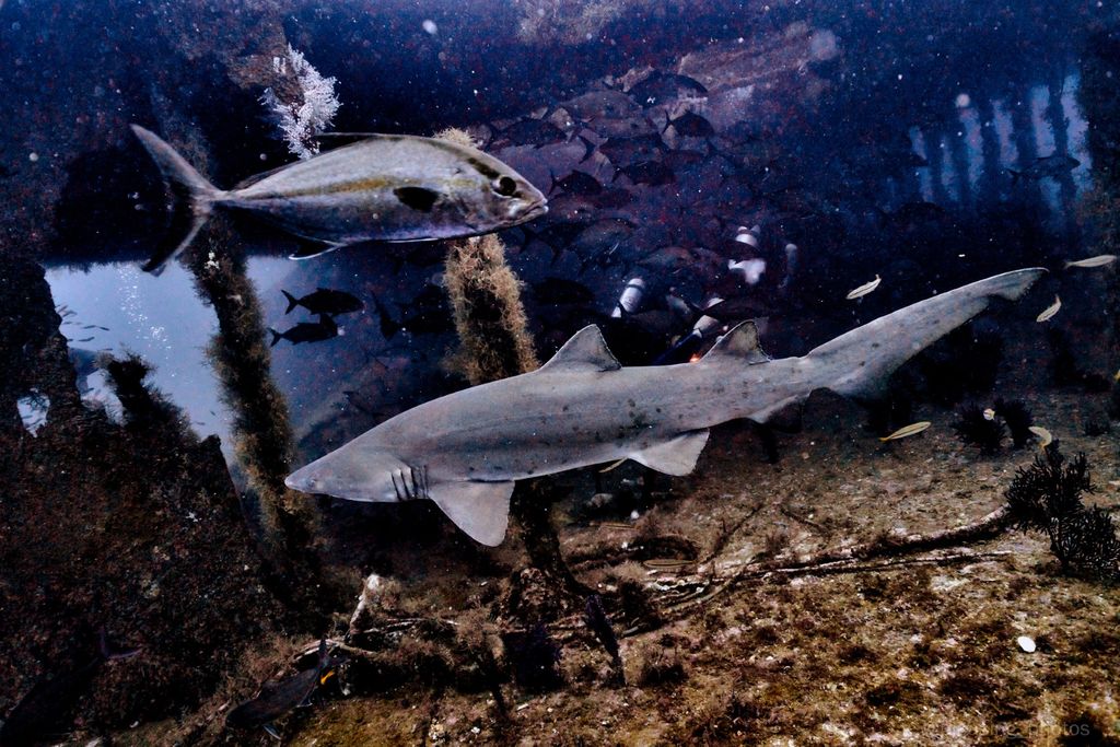 5c109401-c07c-4136-a450-e64ae3bff743