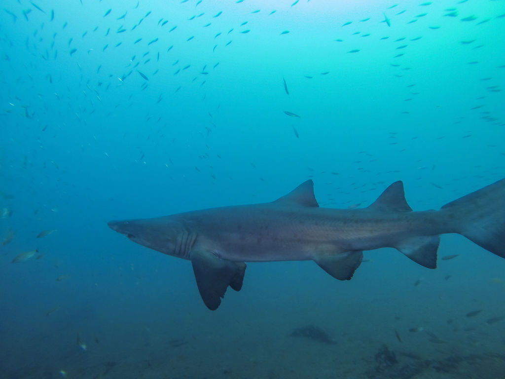 3c2f3f0b-fd3b-424b-b156-147897fb3c5c