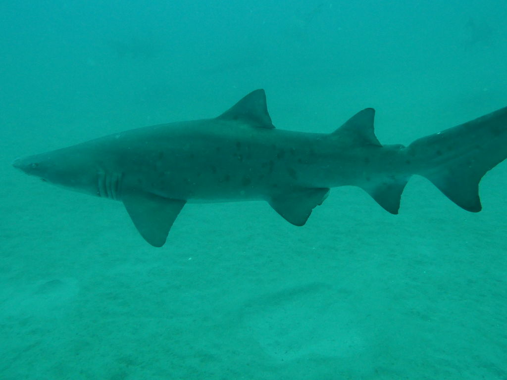 c3f384a4-13fd-43da-b23b-848977c29639