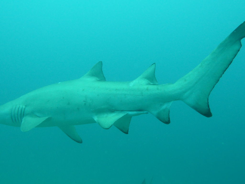 c3f384a4-13fd-43da-b23b-848977c29639