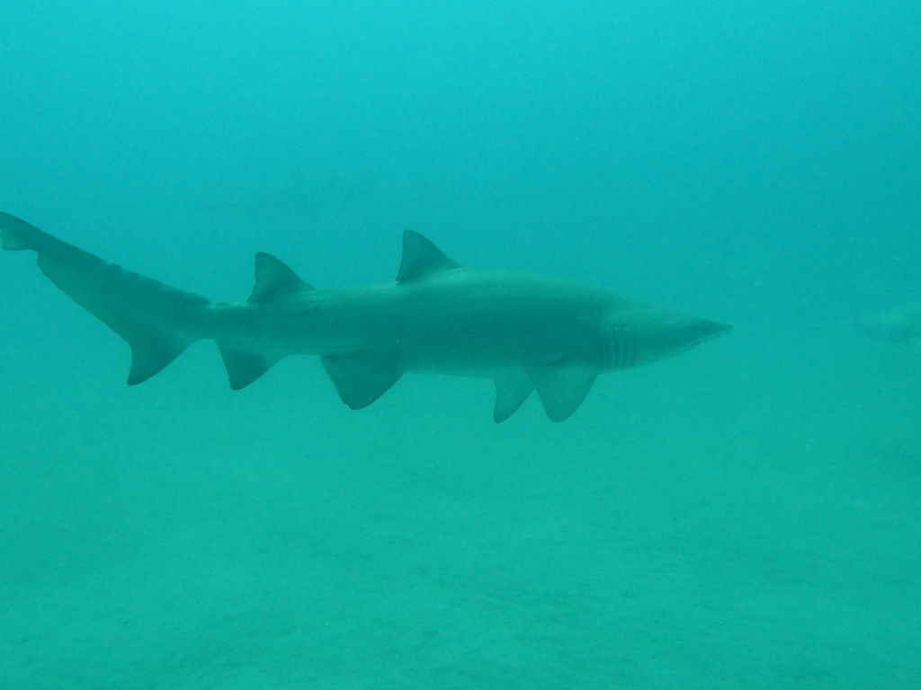 c3f384a4-13fd-43da-b23b-848977c29639