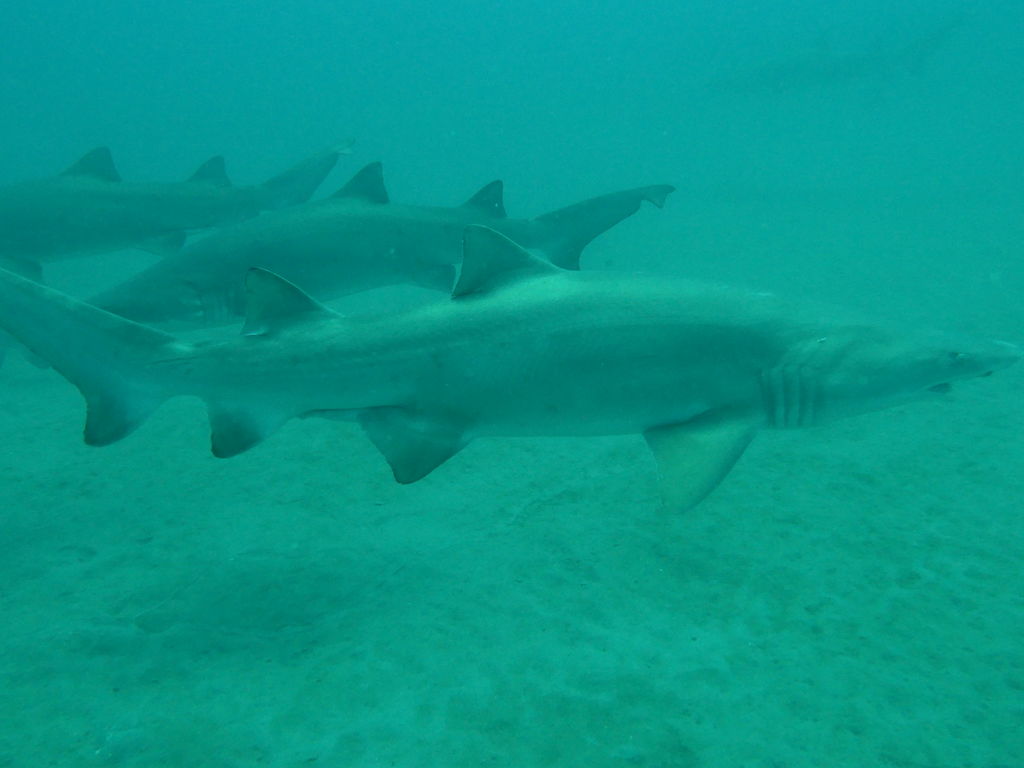 c3f384a4-13fd-43da-b23b-848977c29639