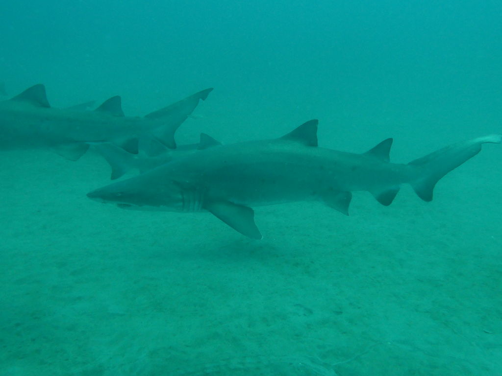 c3f384a4-13fd-43da-b23b-848977c29639