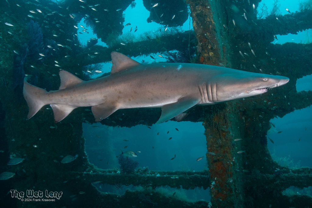 ab466e75-29de-4f89-8759-c50123ba94fa