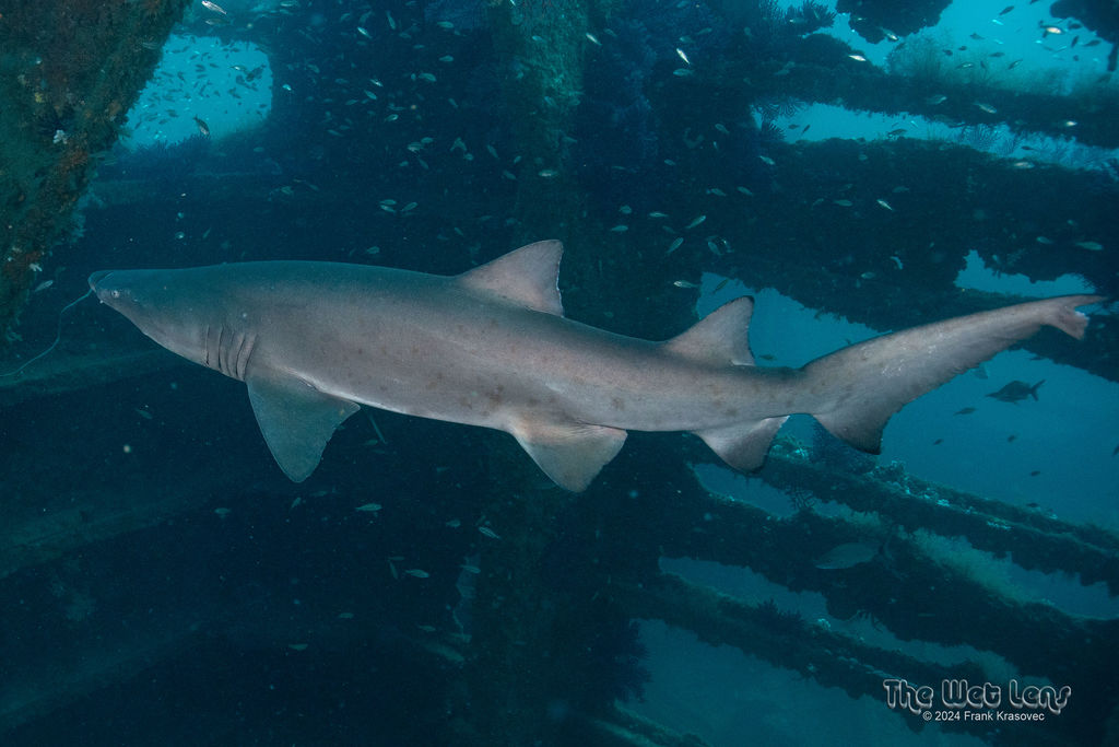 ab466e75-29de-4f89-8759-c50123ba94fa