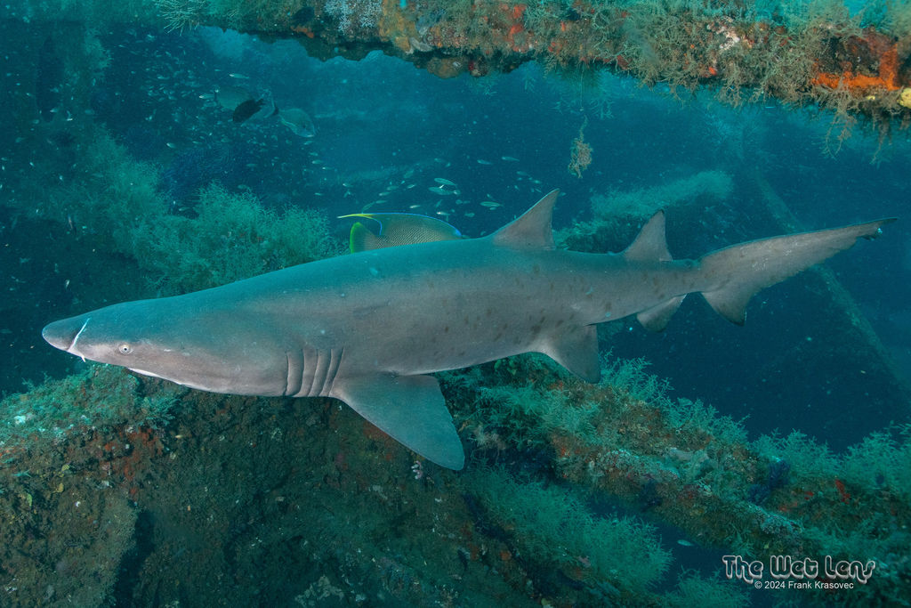 ab466e75-29de-4f89-8759-c50123ba94fa