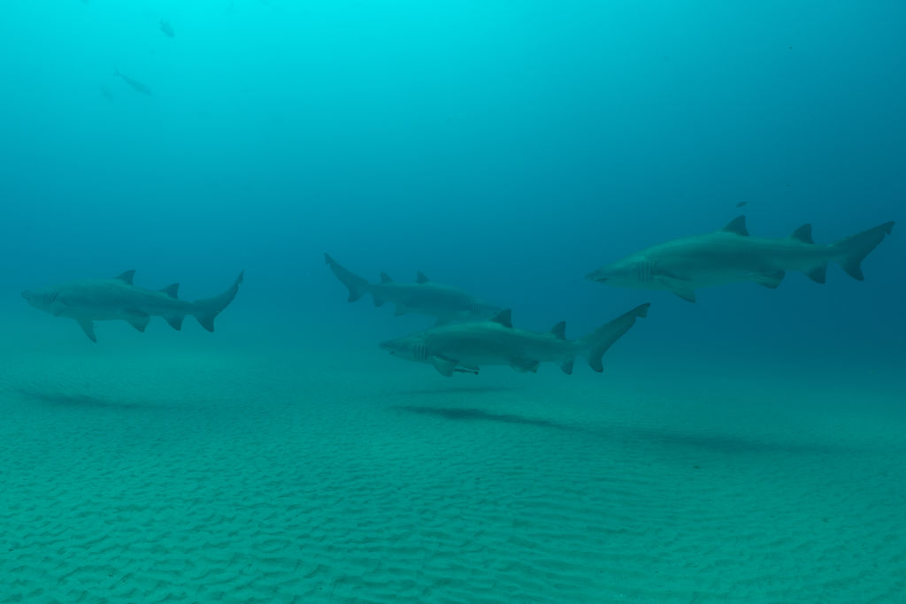 b0b0584f-1278-4394-97d1-af53fa4daabc