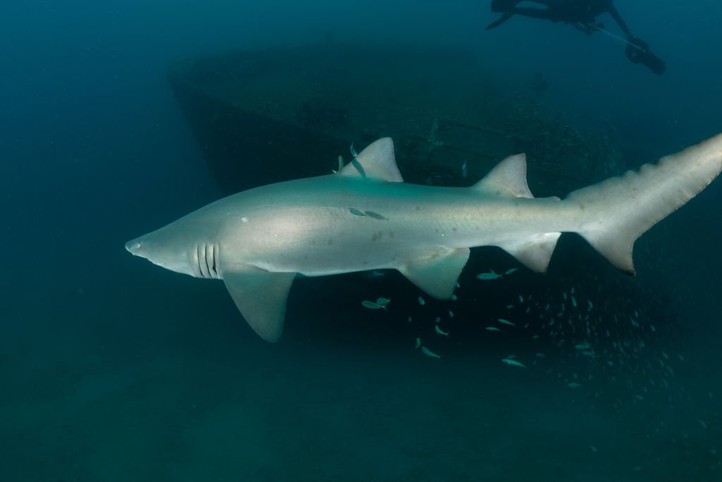 c87b24be-cd81-4dac-a65c-f67eb5044e5c