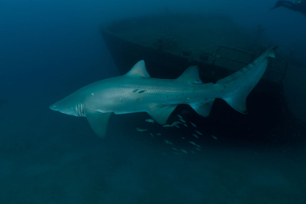 c87b24be-cd81-4dac-a65c-f67eb5044e5c