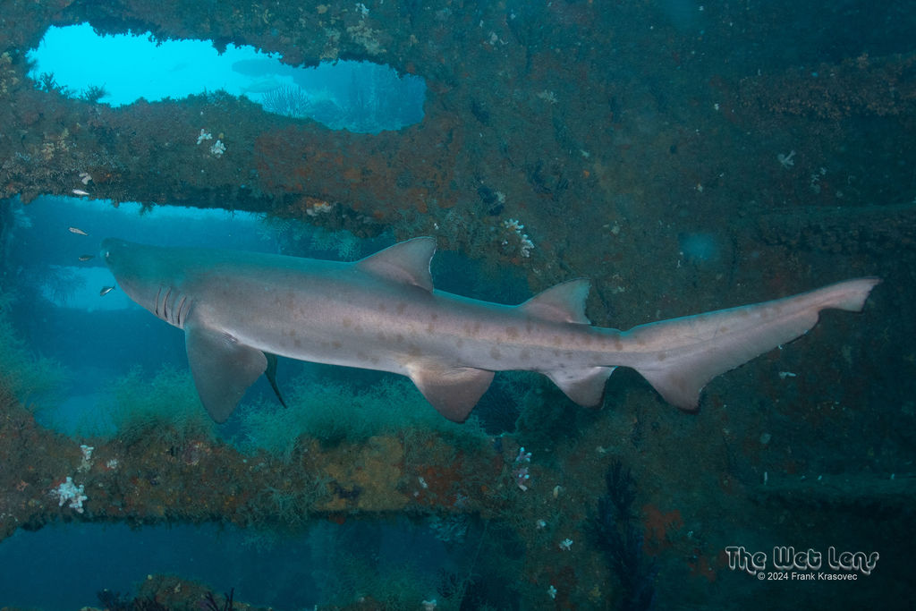 febc6572-35af-4dc8-af9c-6146d8f4ebd2