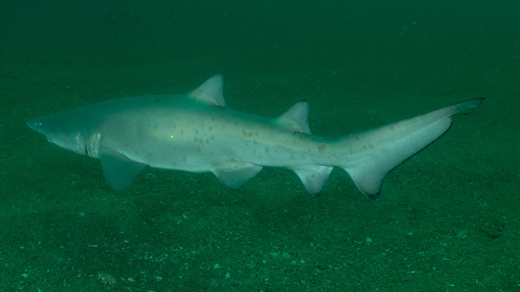 0b9a3ce6-b99a-4d89-8241-845a3db96382