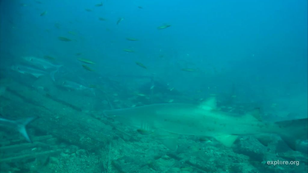 b8d377f4-55e9-410d-972f-5fb463eac7eb