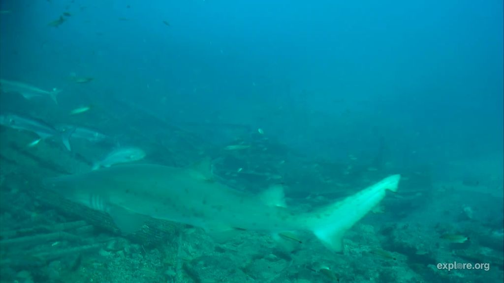 b8d377f4-55e9-410d-972f-5fb463eac7eb