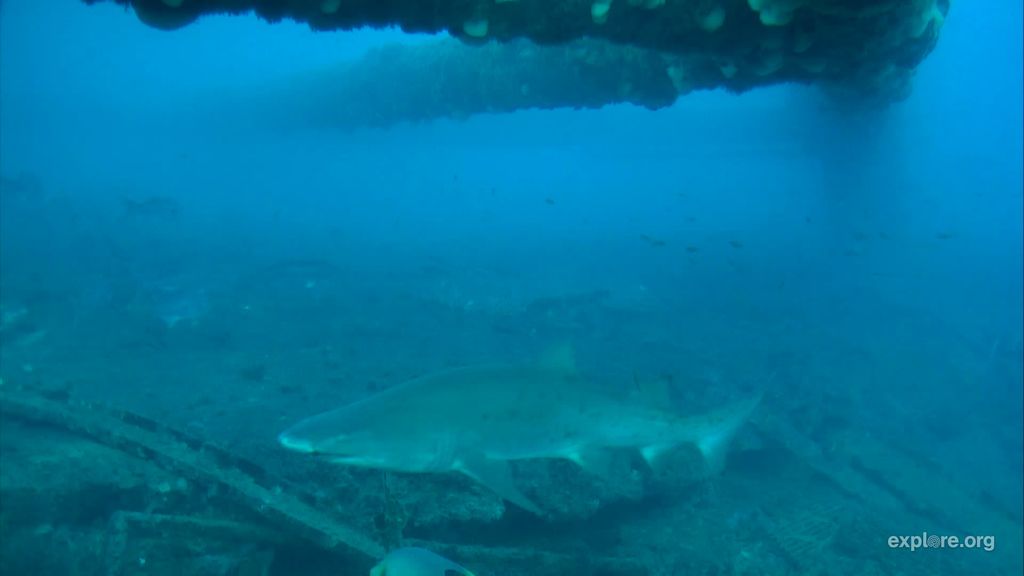 b8d377f4-55e9-410d-972f-5fb463eac7eb