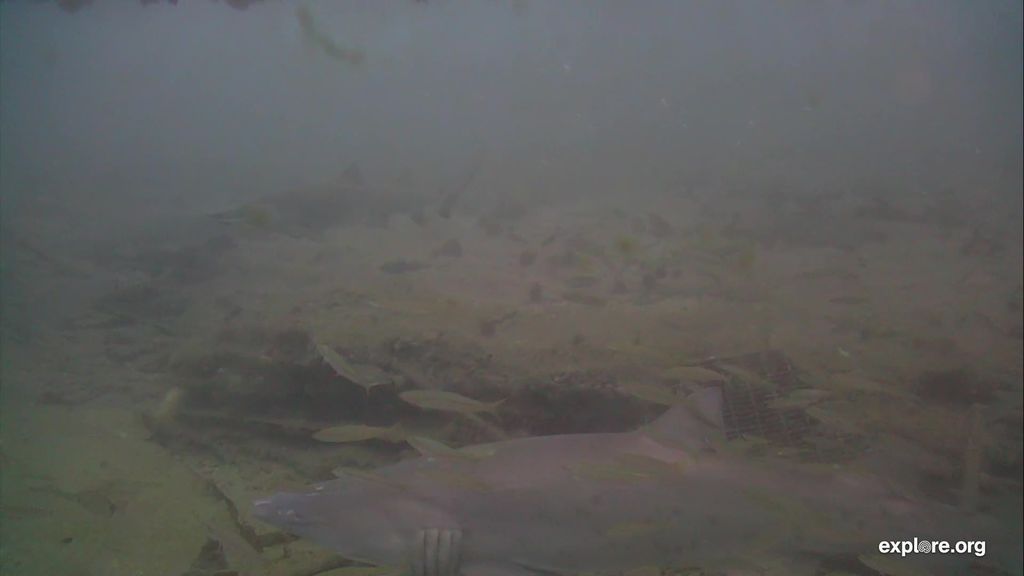 87bcc5af-d71a-425d-b76f-99e6896d45a1