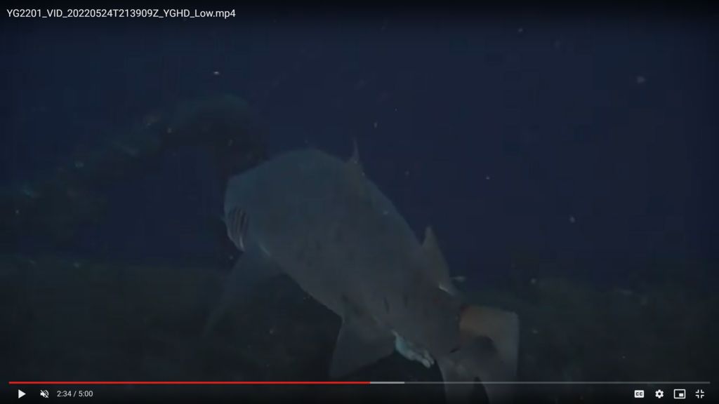 9f8be97d-1c68-438a-9d6d-7947225f9320