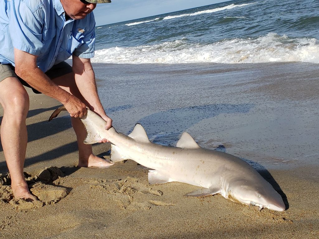 39347d79-0827-47f4-bbe8-56db29802022