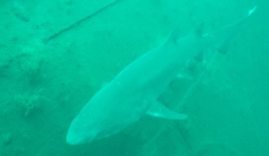 ec5b7179-28a9-4d59-a329-bf4c49558a60