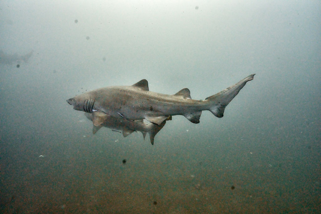 ca9ba046-abf8-412a-bf6e-b8e52995d653