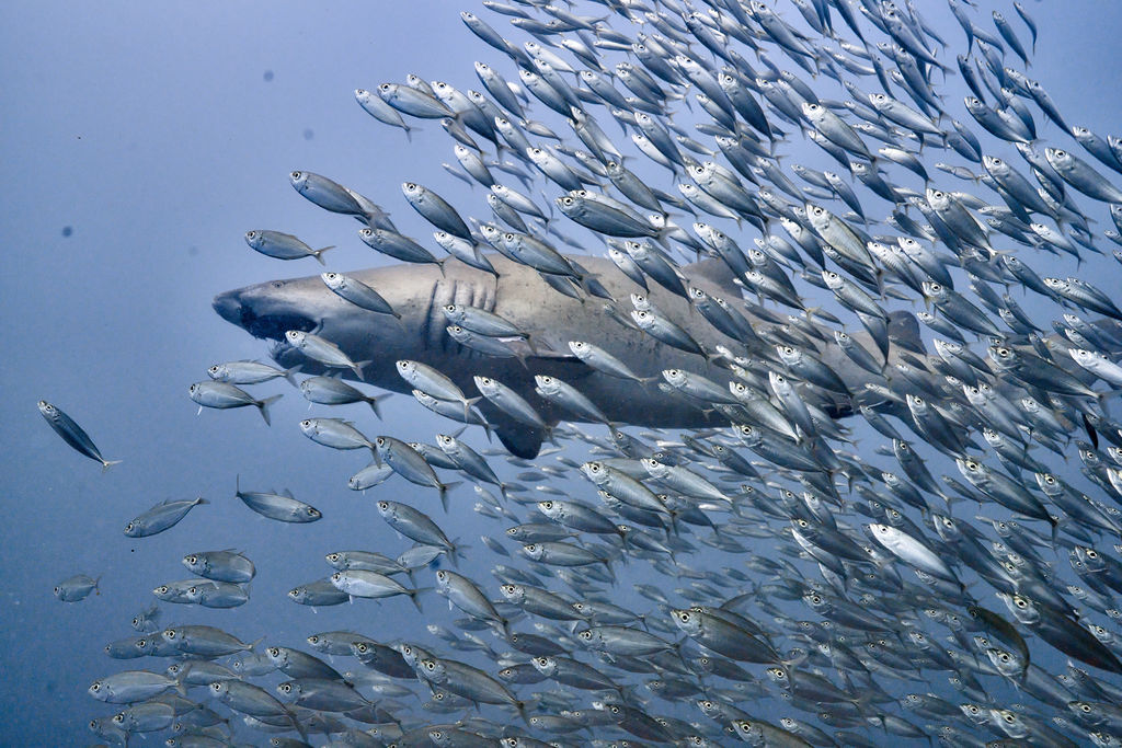 ca9ba046-abf8-412a-bf6e-b8e52995d653