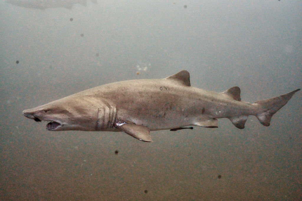 ca9ba046-abf8-412a-bf6e-b8e52995d653