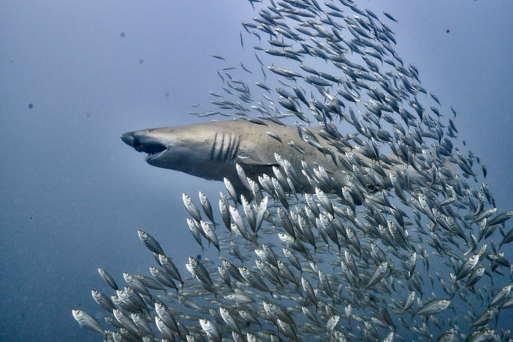 ca9ba046-abf8-412a-bf6e-b8e52995d653