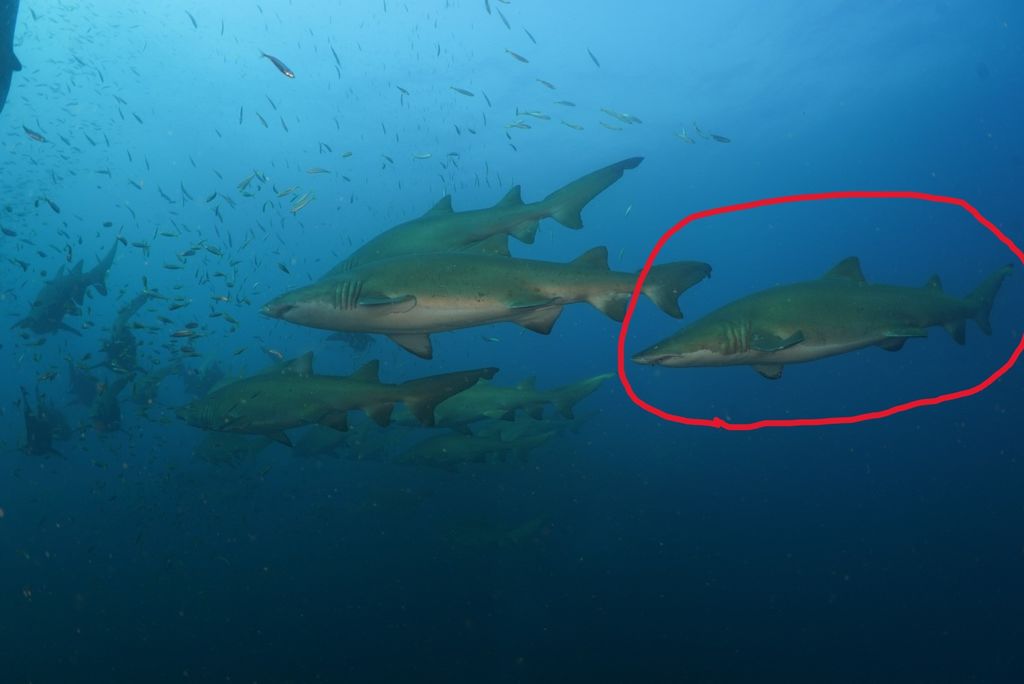 5ab11876-8fb5-49bd-a973-cfefb9fee2a5