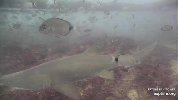 4115291b-3551-4d51-b70c-1290136c3cd6