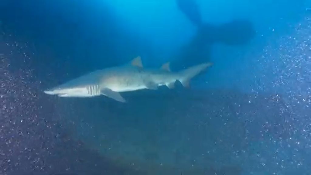 572cbc3f-fc1e-4af4-a669-223db107809a